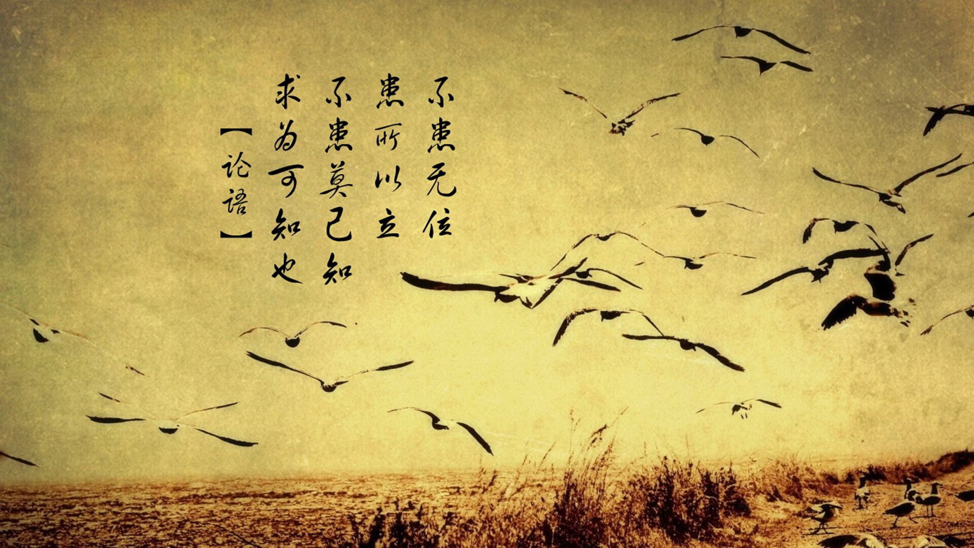 《《英雄联盟》寒假版本，强化新英雄“北风”技能平衡》，英雄联盟带风的装备