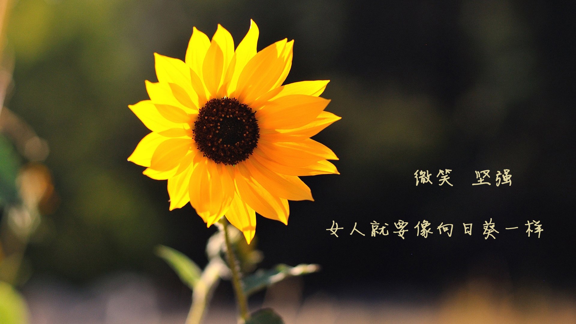 国足战术调整是否应考虑年轻球员特点，国足年轻队员