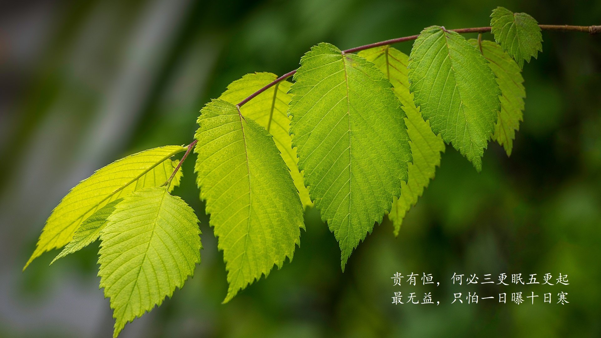 爱游戏体育APP下载-真相：热刺绝杀晋级，欧冠四强！，欧冠热刺读秒绝杀