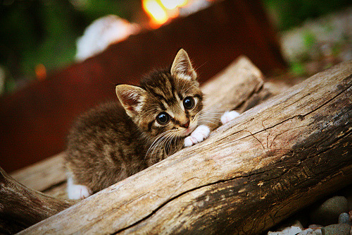 男足中超联赛保级大战白热化，中国男足超白金一代