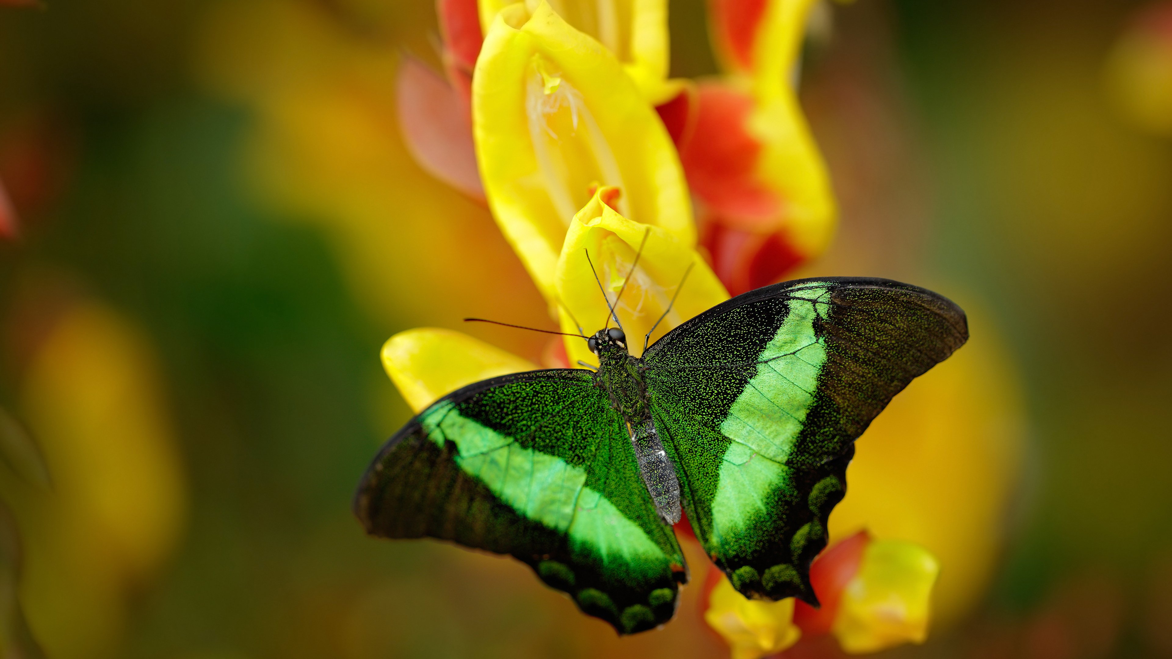 体育新闻中心建设体育数字内容版权保护体系，体育数据新闻