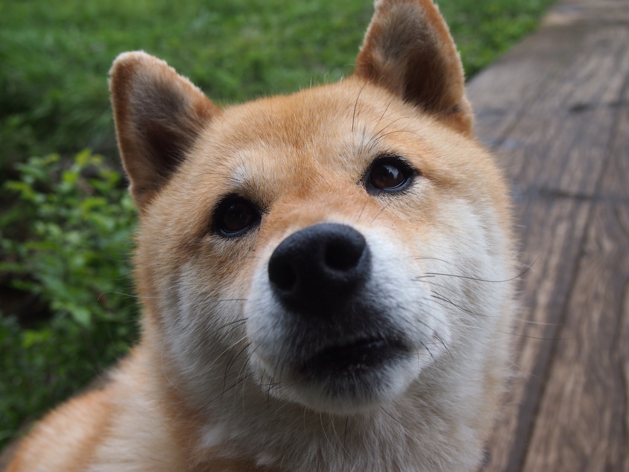 爱游戏体育（AYX）官方APP下载-埃及队未来规划：通过国际比赛增加经验与曝光，足球埃及队