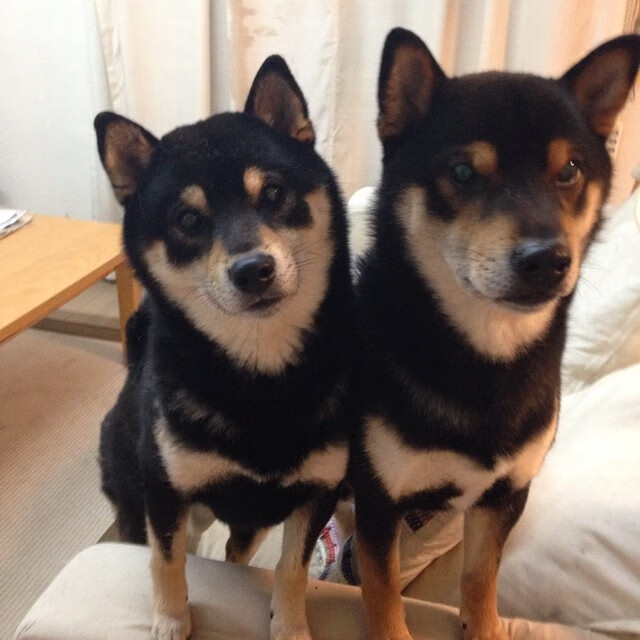 爱游戏娱乐-姆巴佩未来状态调整备受关注，姆巴佩的未来