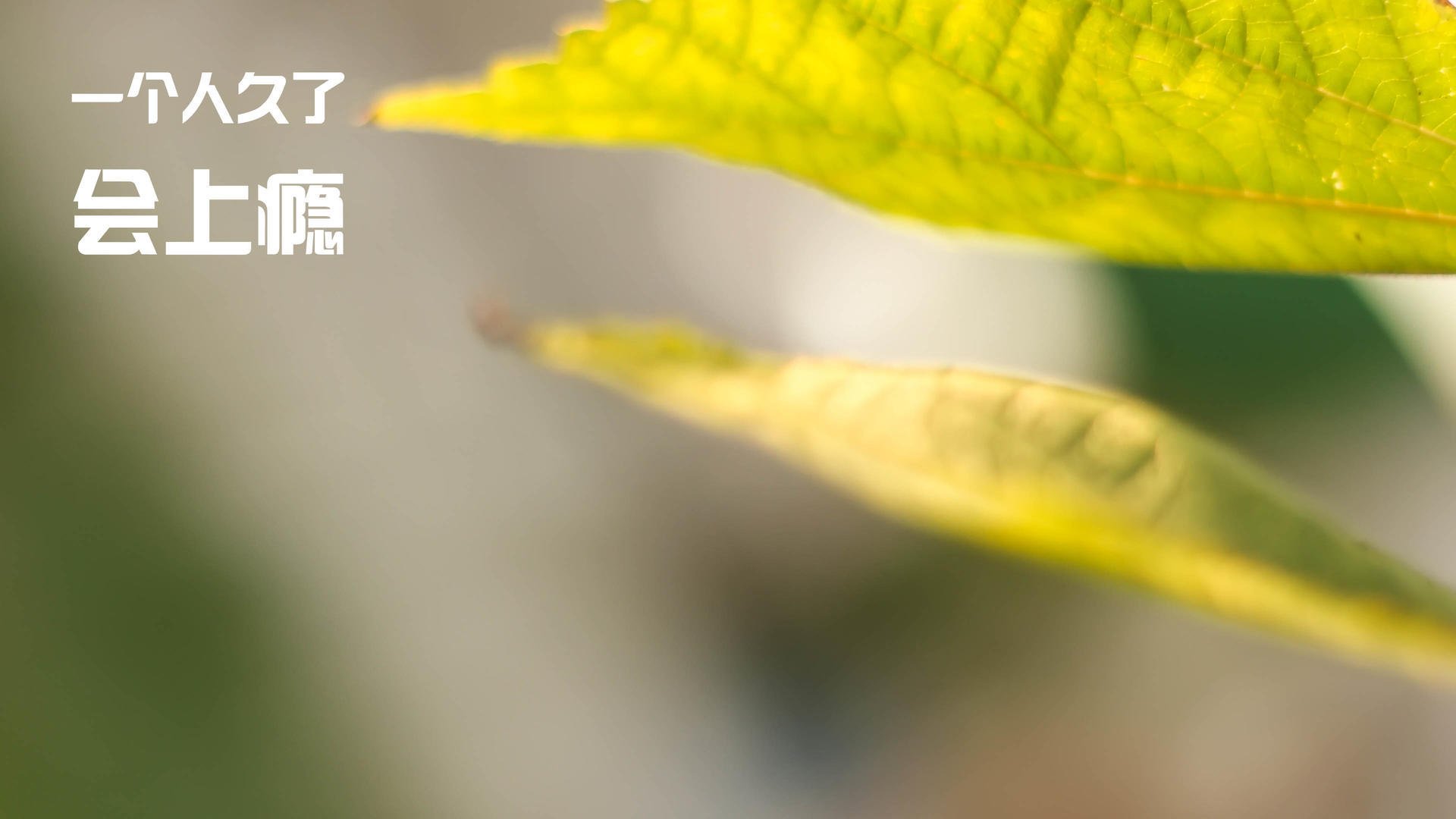 AYX体育官网-浙江雄狮强化防守阵型减少对手突破空间，宁波雄狮