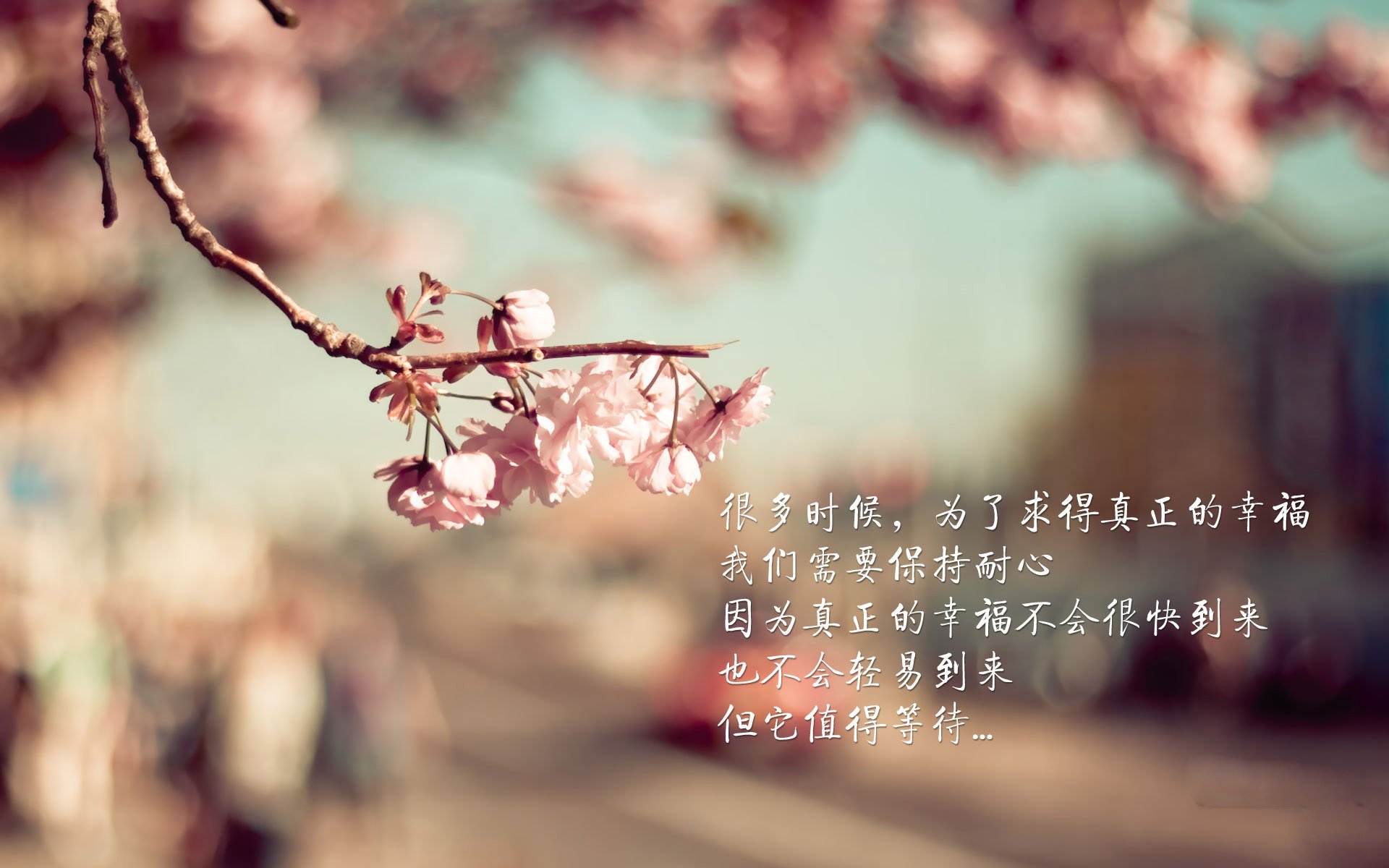 篮球联赛季后赛争夺战火热，篮球比赛季后赛