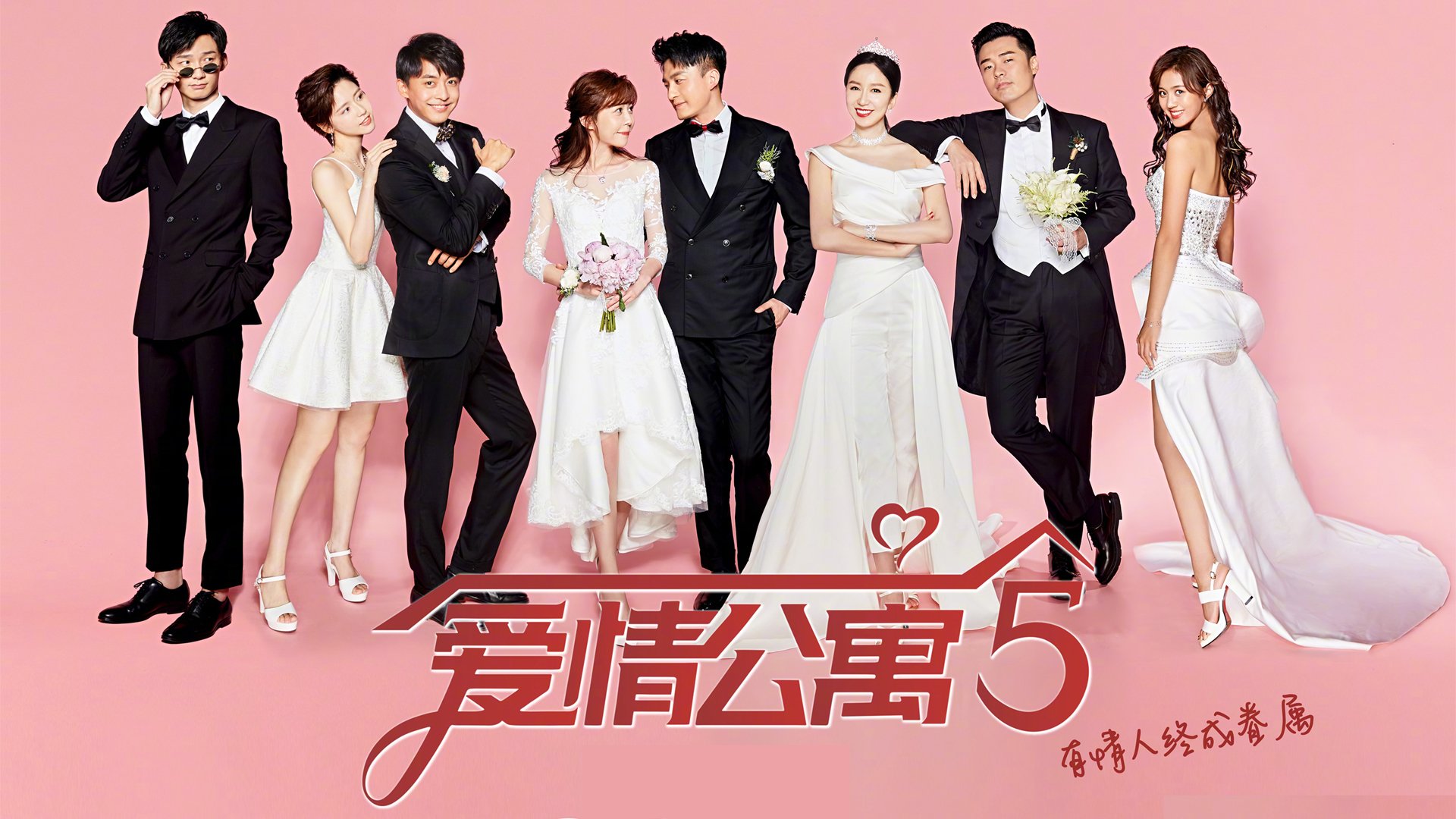 女子排球国家队新战术体系逐步成型，女子排球近况