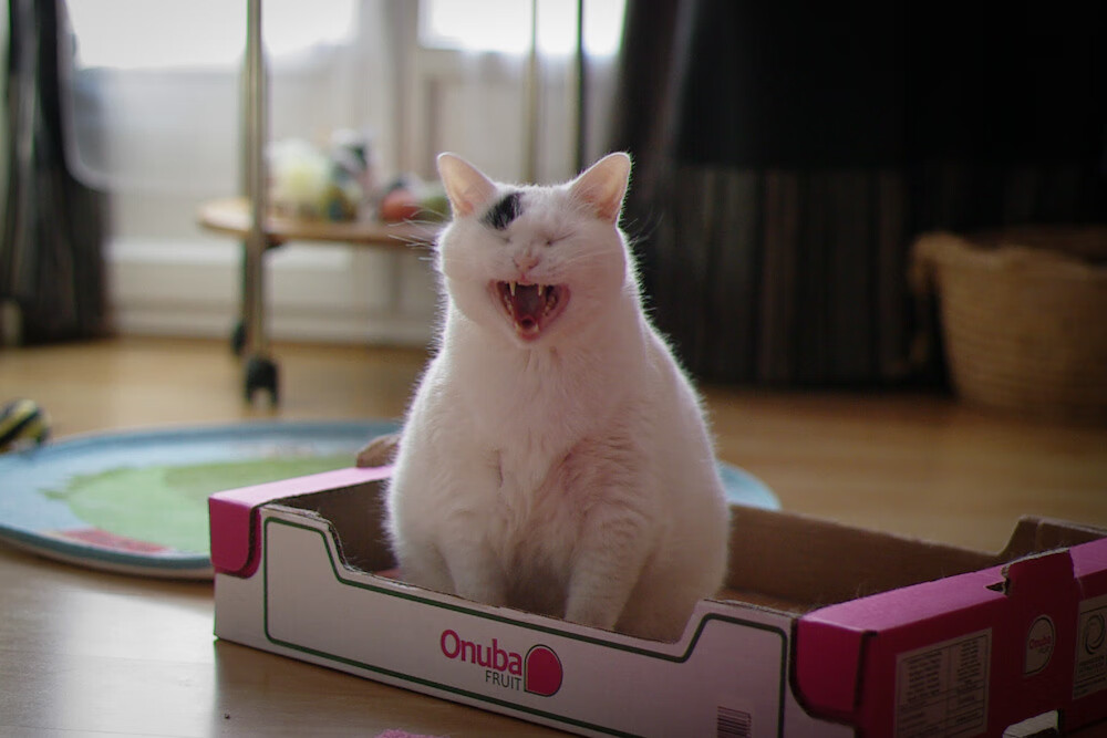 替补调度有效，多人轮换减少体能损耗，替补机制