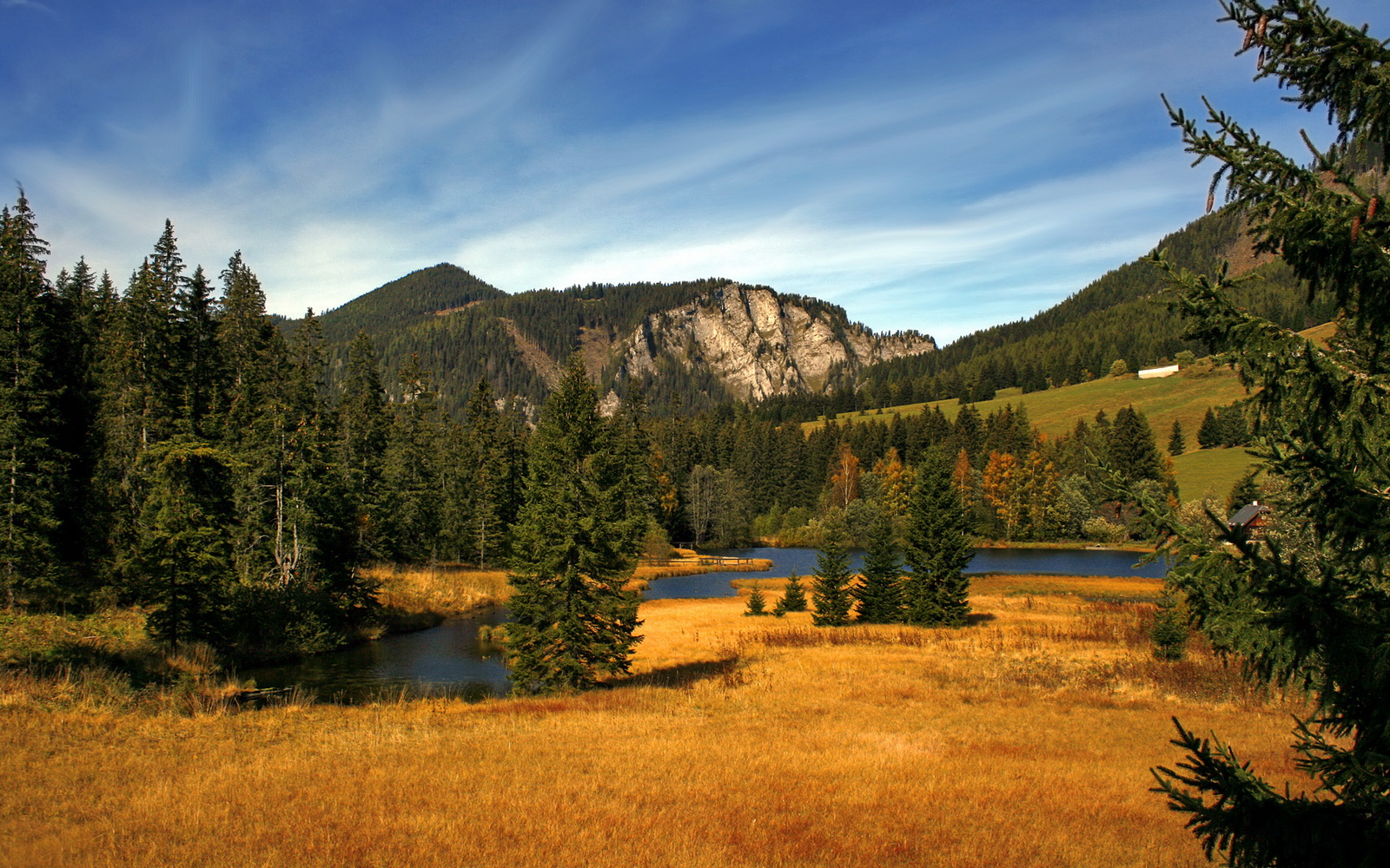 格鲁吉亚男篮在亚洲预赛中逆境奋战，期待突破