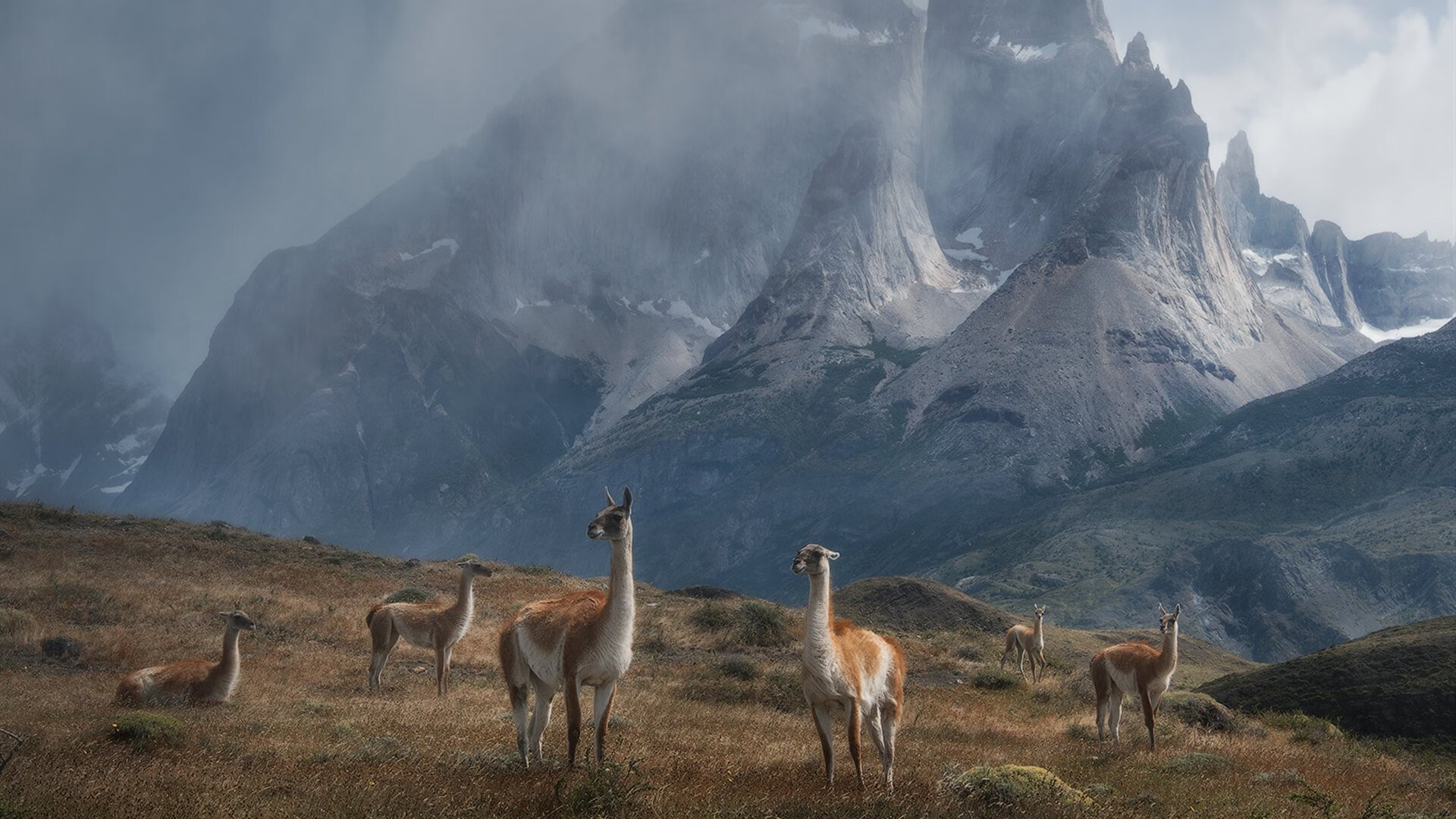 球队更换战术核心，轮换阵容迎来新格局，轮换球员和替补球员