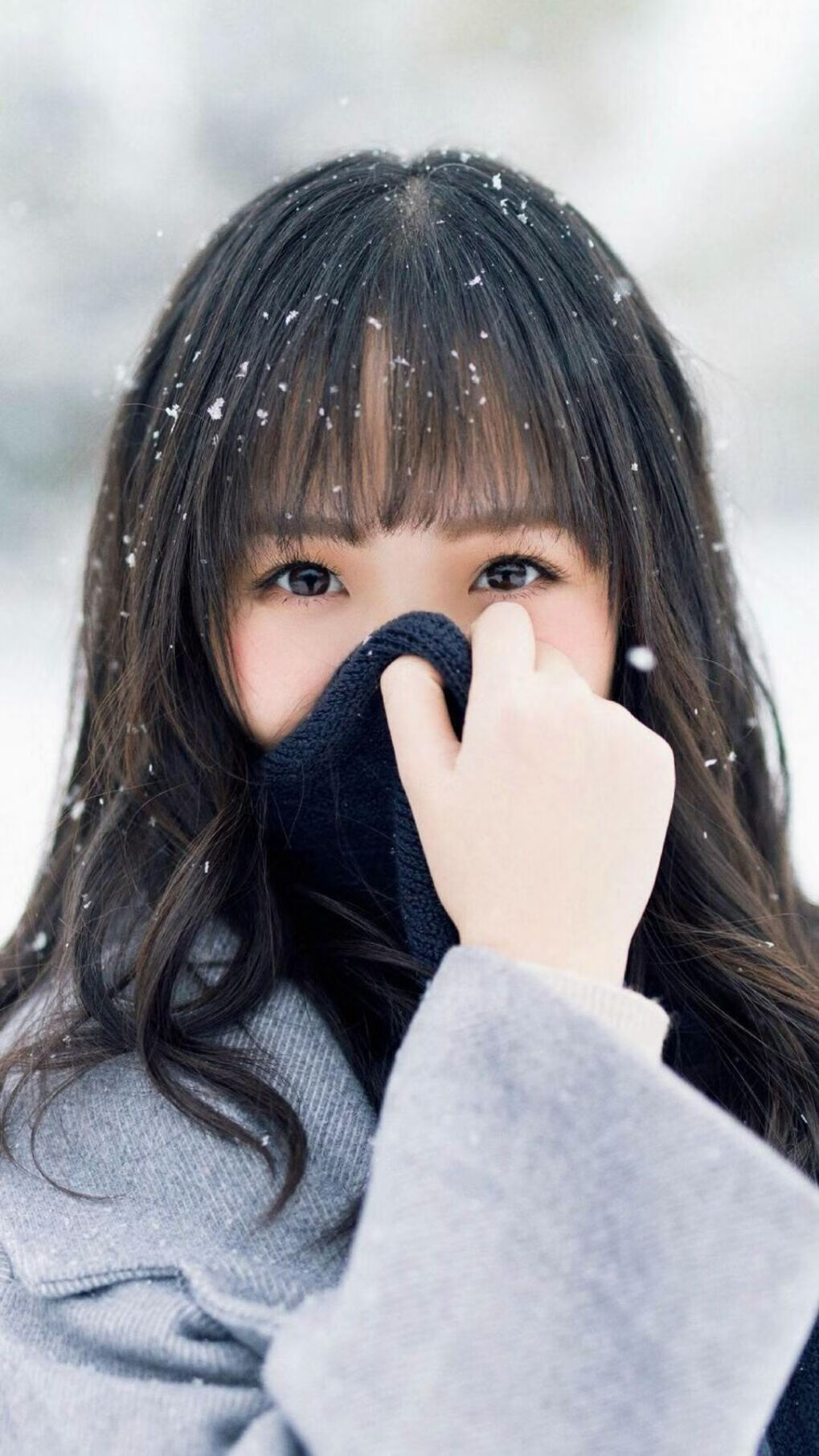 美洲杯足球文化的多元融合,美洲杯专用足球