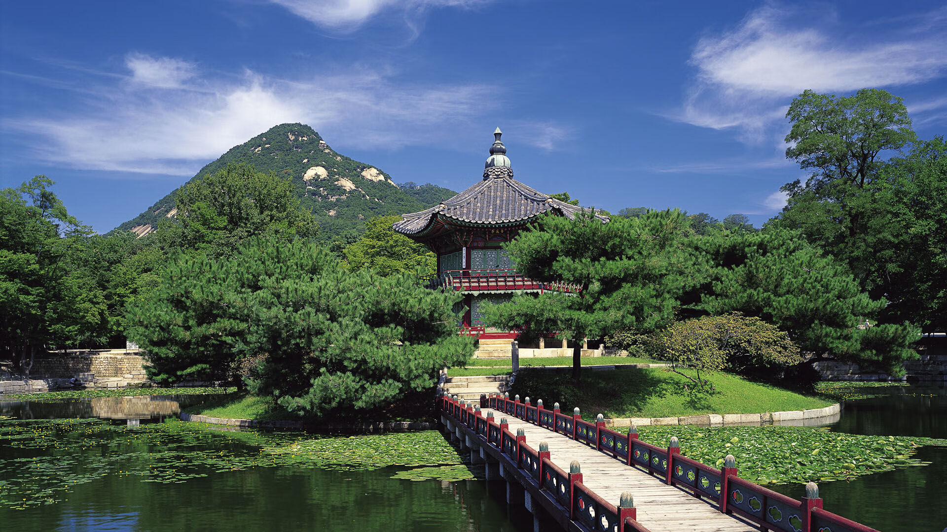 陈佳极速入水领跑蝶泳决赛,游泳陈佳