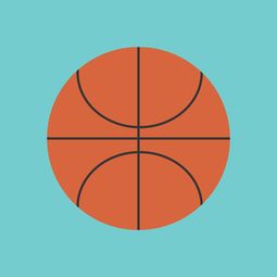 AYX官网-中国篮球职业联赛市场竞争环境与发展策略，中国竞技篮球的发展趋势