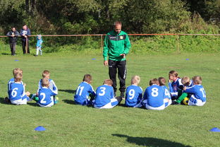 AYX体育-德甲球队构建战术模拟平台提升临场应变能力，德甲球队构建战术模拟平台提升临场应变能力