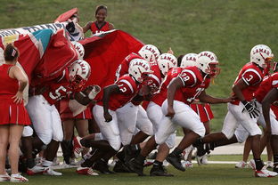 爱游戏大厅官网-青少年体育参与行为及其影响机制探讨，青少年体育参与行为及其影响机制探讨论文